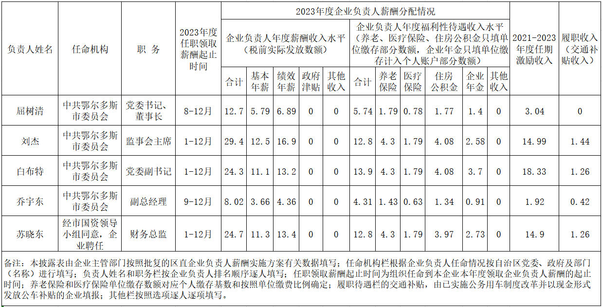 企業(yè)負責人.png